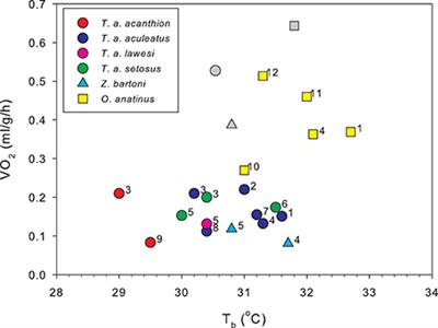 Energy Homeostasis in Monotremes